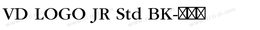 VD LOGO JR Std BK字体转换